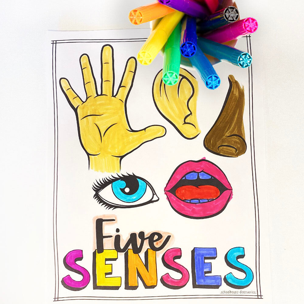 EE Five Senses