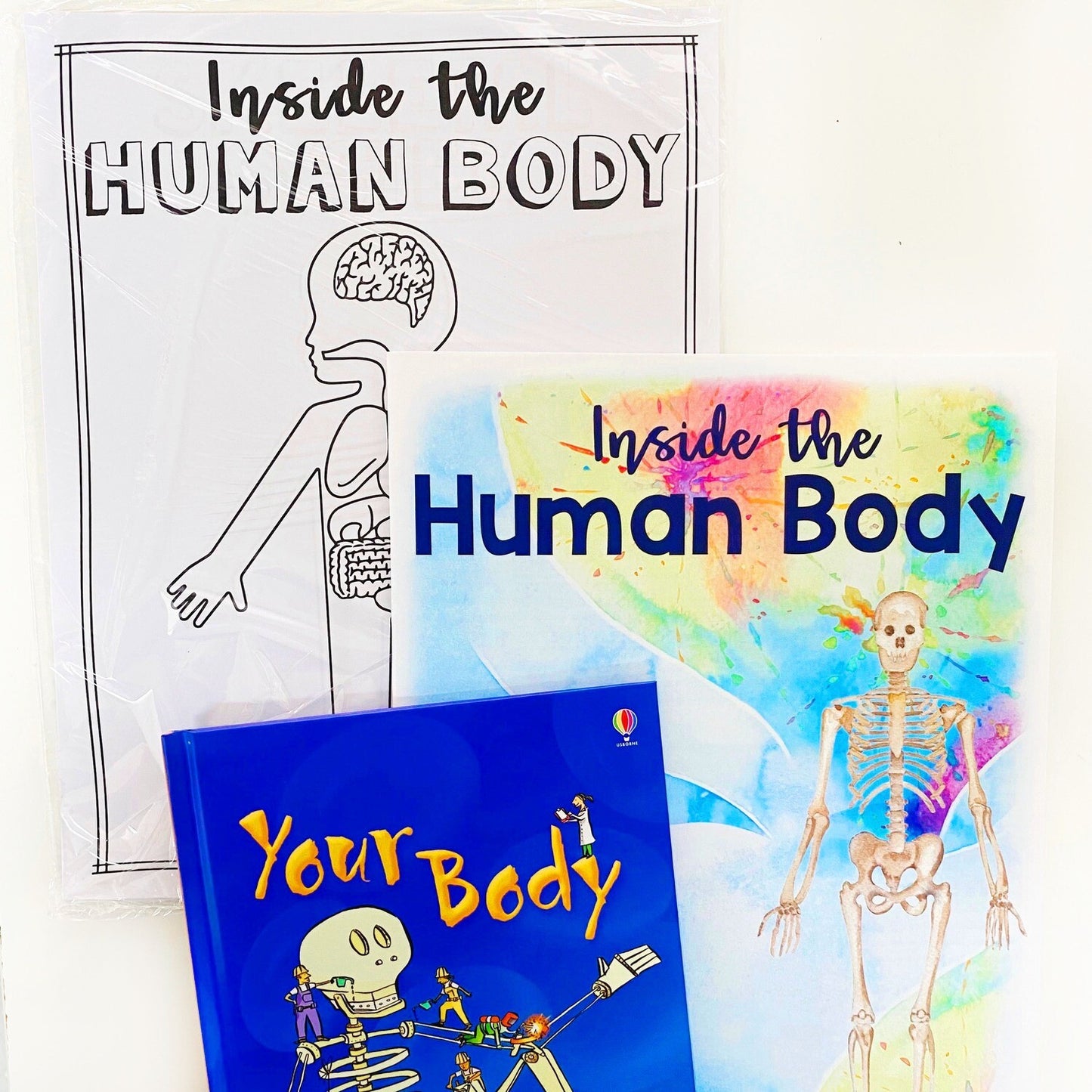 Human Body {Instruction Guide, Activity Pages, & Book ONLY}