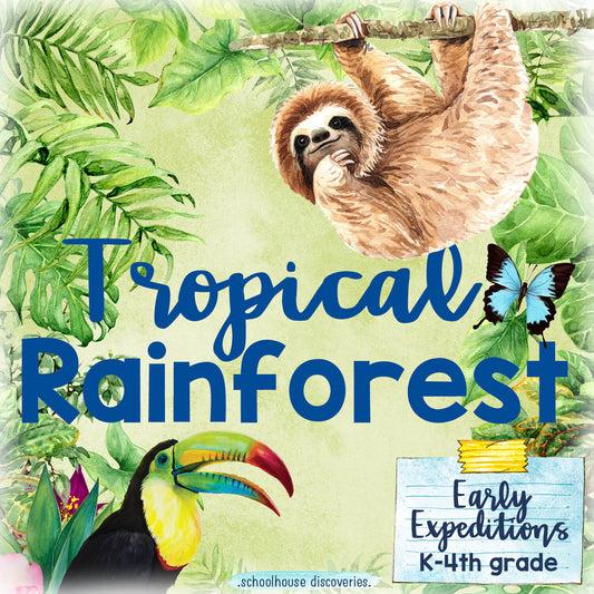 EE Tropical Rainforest