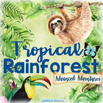 AA Tropical Rainforest