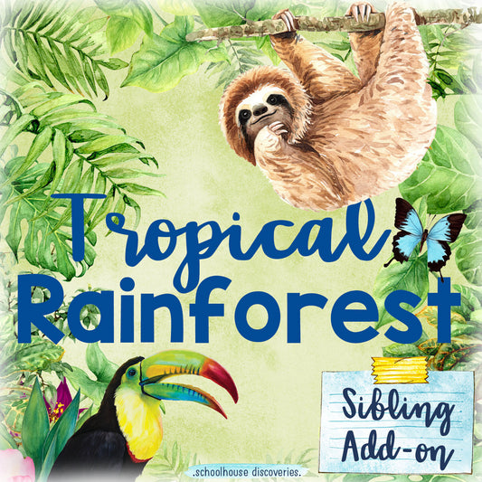 AA Tropical Rainforest Sibling ADD-ON