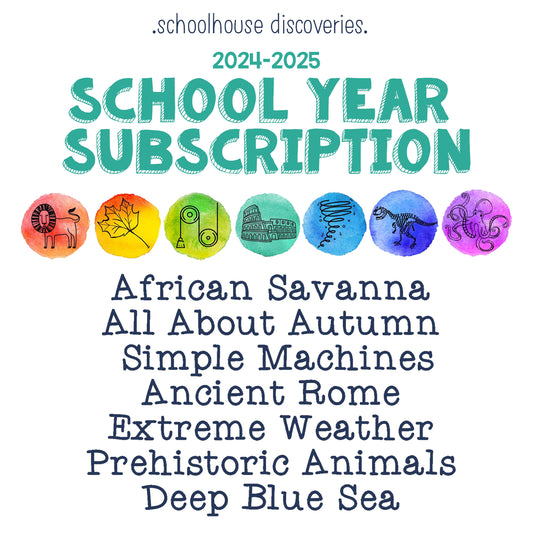 2024-2025 School Year Subscription
