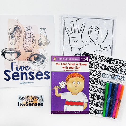 Five Senses Bundle